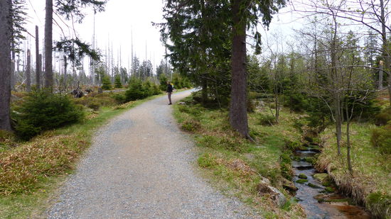 anfangs ist der Weg noch befestigt