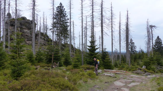 oh, Kletterfelsen...