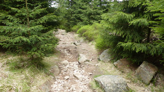 so geht es danach weiter