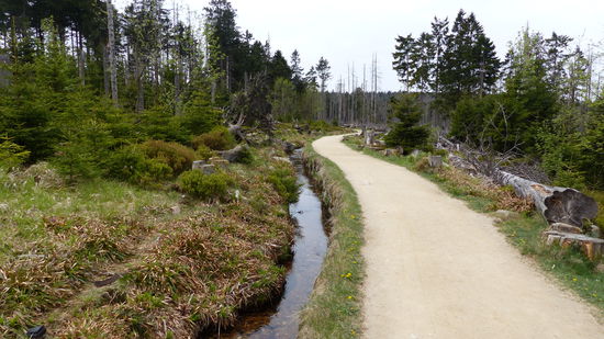 kurz vor dem Torf-Moor