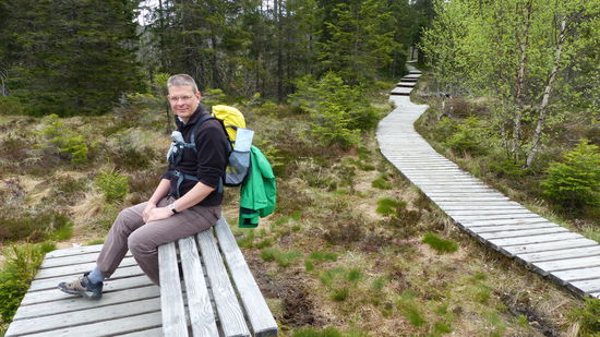 der Weg durch das Torf-Moor