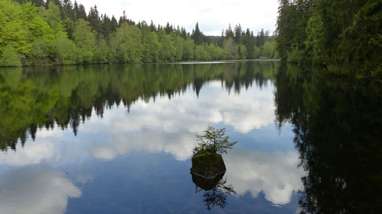 der Silbersee lässt uns nicht los...