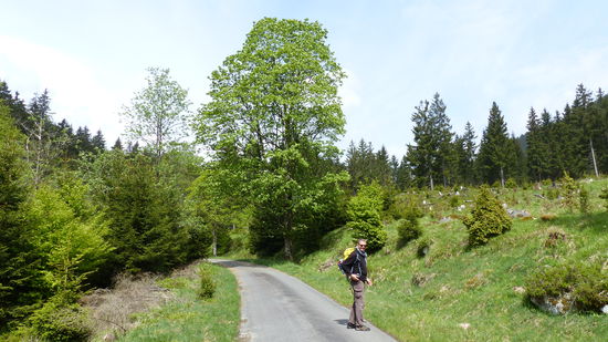 von hier aus sieht man die Klippen von "unten"