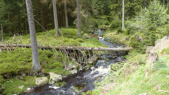 plätscher, plätscher