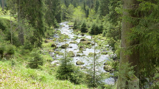 ...immer an der Oder entlang...