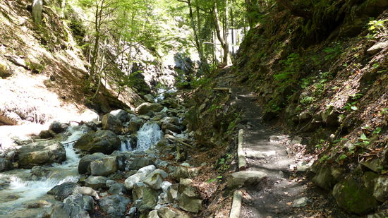 wildes Durcheinander