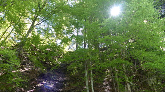 mal ein Wechsel der Blickrichtung - nach oben