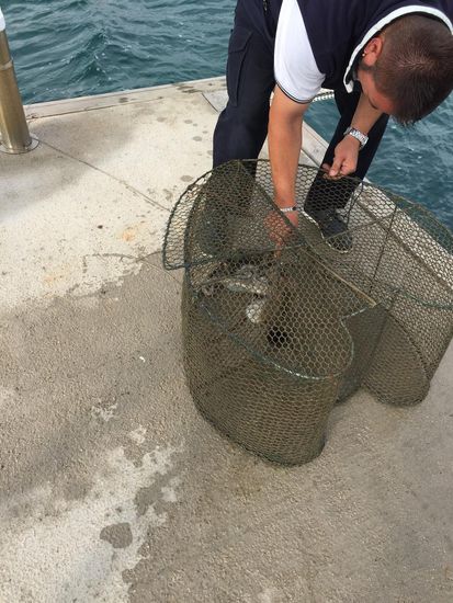 Aja, dazu wollte der nette Mann am Pier unser Küchenmesser ...