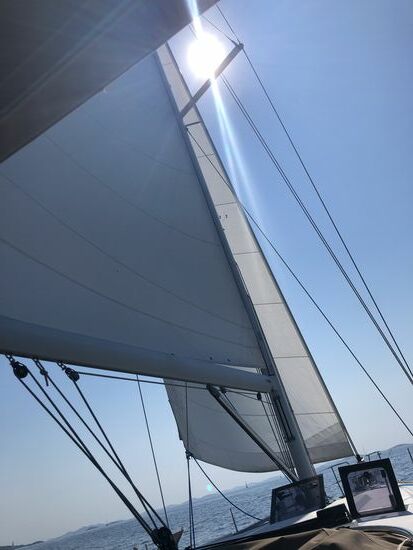 wir kommen gut voran ...