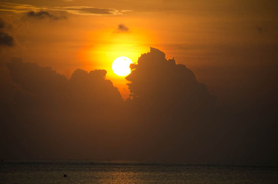 fast scho grauslich.....die schlechteren fotos sind noch auf der speicherkarte.......schnell weiterklicken!!