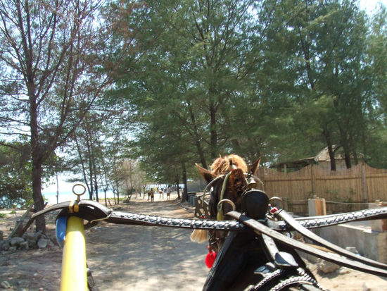 Unser Limousinenservice vom Hotel zum Booti......die Angst und das mulmige Gefühl vor der Bootsfahrt steigen schon