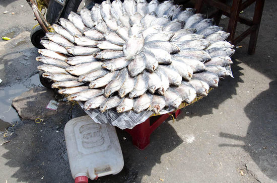 ...a bissl a fisch.....schön aufgefächert, daß jeder a bissl a sonne dawischt