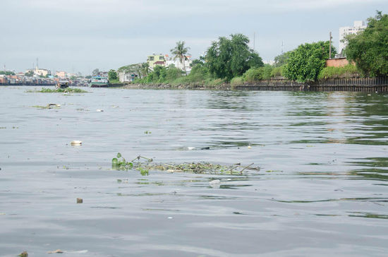 wie man sieht....wasserqualität 1a