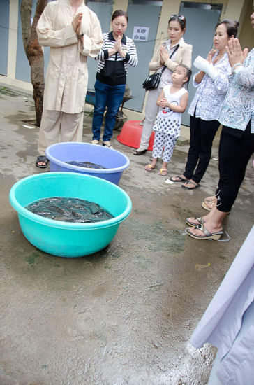 2x im Monat wird Fisch geopfert, wobei dieser wieder im Mekong- river freigesetzt wird.