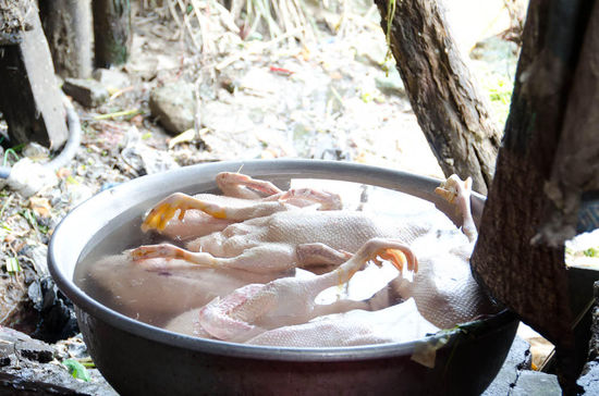 ....und nachher - fertig is die Hühnersuppe