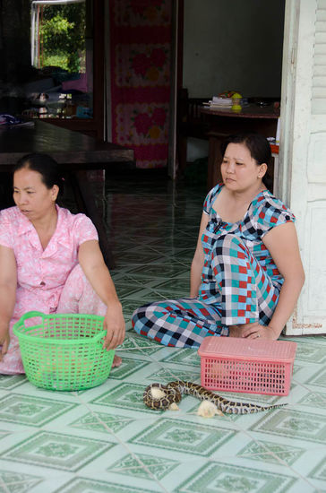 hier noch die kleinen...