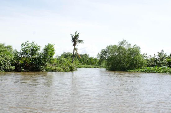 später am nachmittag gings dann wieder richtung saigon...insgesamt waren wir fast 120km unterwegs
eine tolle tour und wir haben keine anderen touristen gesehen....wars auf jeden fall wert!!!!!