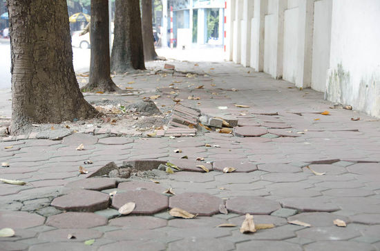 weiter gings richtung französisches viertel....über stock und stein