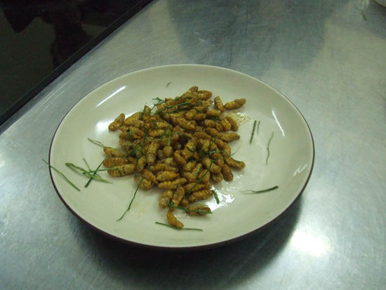 gebratene seidenwürmer... wir hams probiert...eigentlich ned schlecht bis du drauf beisst auf so a kleines scheißerchen, dann kummt nämlich da ganze "eiter" aussa....frittiert wärens sicher besser