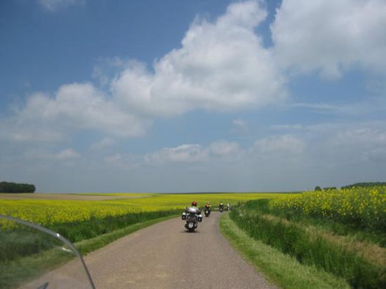 Rapsfelder in der Champagne