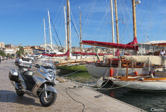 Hafen von Cannes