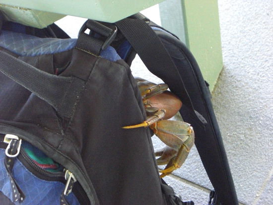 Einer wollte uns dann doch nicht so recht gehen lassen.