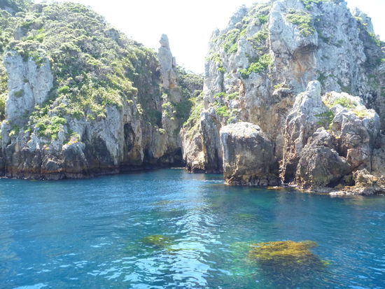 Die Poor Knights Inseln, siehe Text