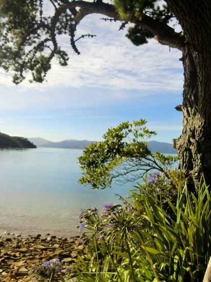 Hier wurden wir mit dem Boot abgesetzt und starteten unsere kleine Wanderung