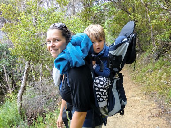 Unser kleines Faultier