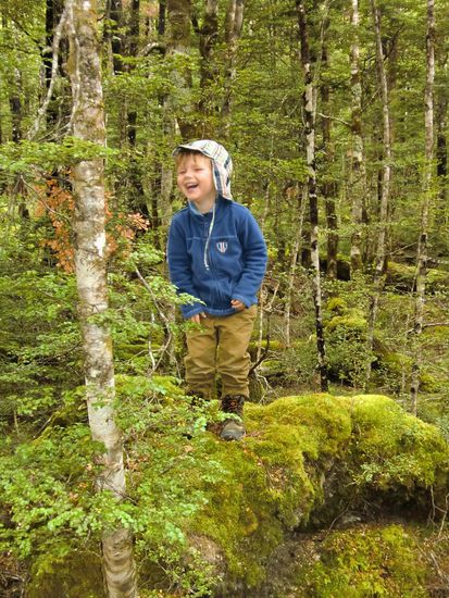 Unser Gnom laut singend auf seiner Bühne im Wald