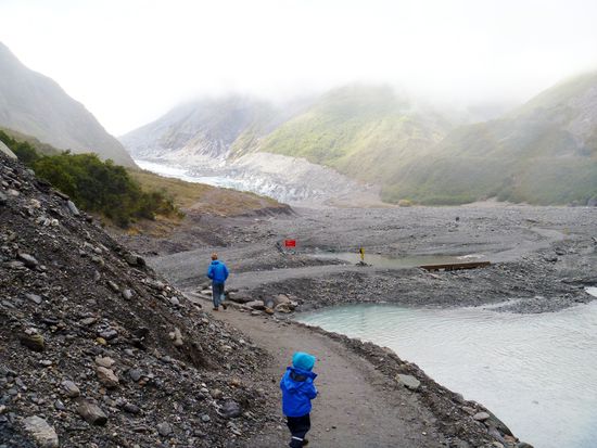 Weg zum Fox-Glacier