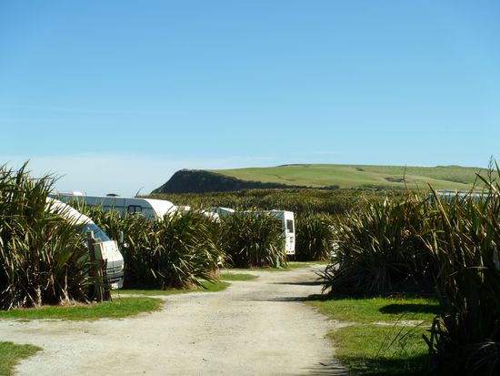 Stellplätze inmitten eines Meeres aus hohem Flachs
