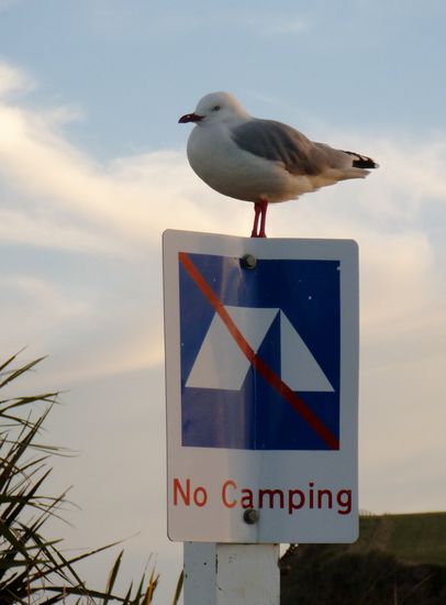 Das gilt hier für alle