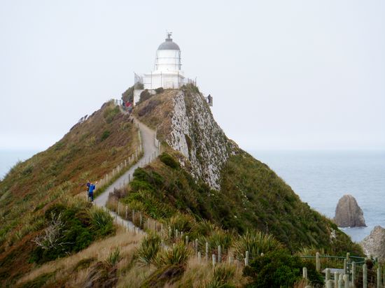 Kurzer Spaziergang zum Leuchtturm am Nugget Point. Nicht zu empfehlen für Menschen mit Höhenangst 