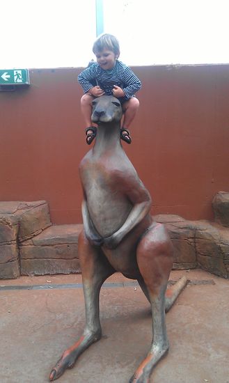 Endlich eins auf das Ben auch rauf kann.