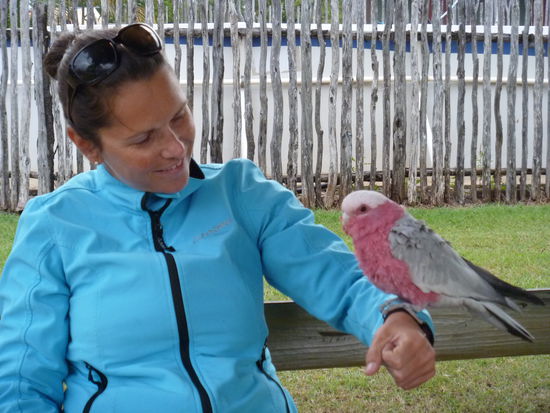 Unser Lieblingpapagei..."Floyd", die Farbe sieht man ja