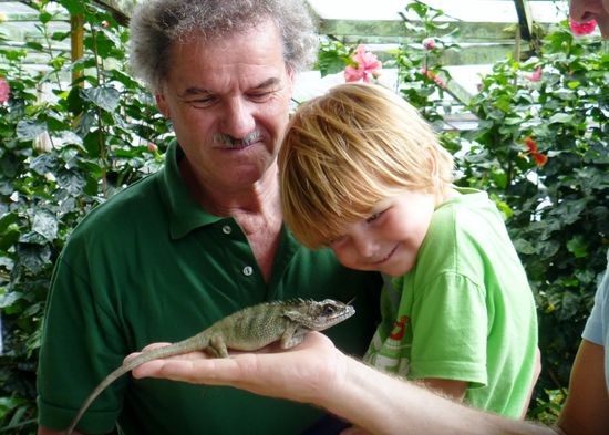 Ben und das Chamäleon