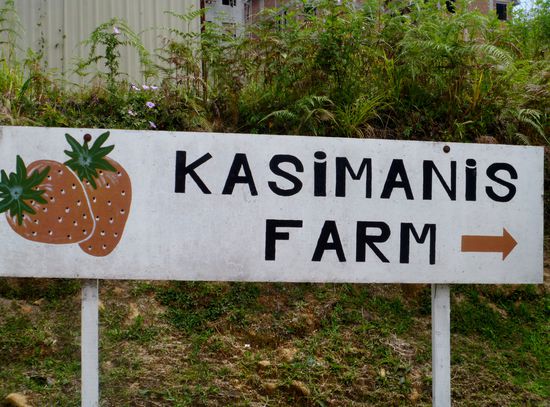 Maxi und Irina....das hättet ihr uns doch sagen können!