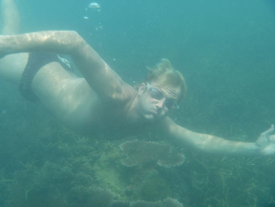 Großer Fisch am Hausriff