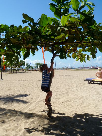 ...und dann kommt der Baum.