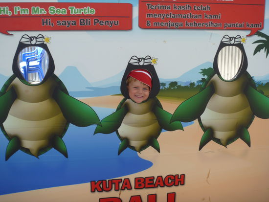 Turtle Protection Project. So süße Schildkröten gibt es hier!