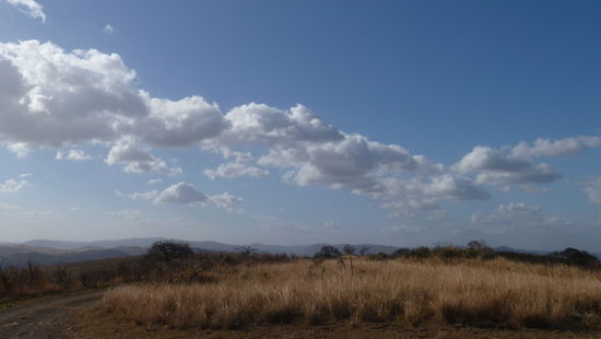Bei strahlendem Sonnenschein im Imfalozi NP