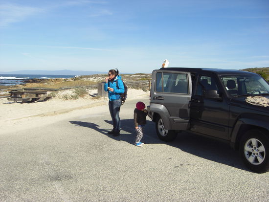 kleines Picknick am 17 mile drive