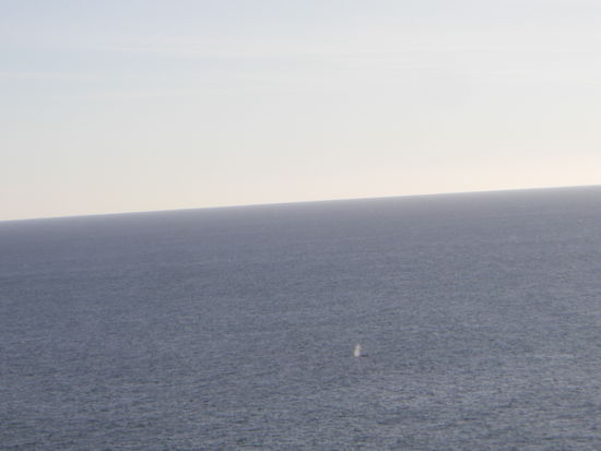 Sieht man was? Besser geht es mit unserer Kamera nicht