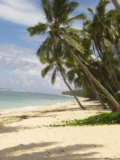Es kommen noch bessere Strände, der hier ist vor unserem Hostel