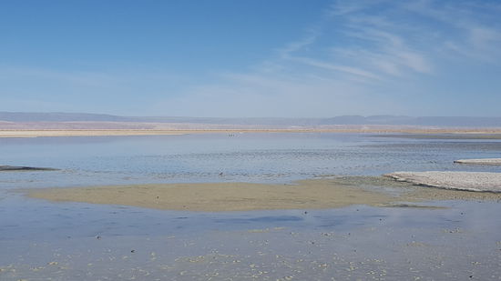 Salar de atacama
