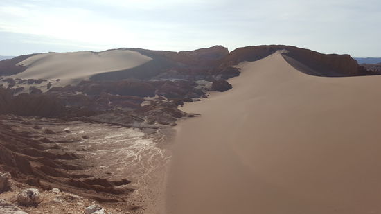 Die Dünen. Sandboarden wäre hier ganz nett.