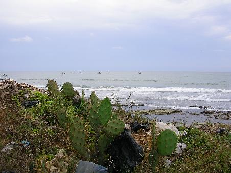 Der Strand ist hier alles. Lebensraum, Spiel- und Arbeitsplatz, Nahrungslieferant, Müllhalde, Klo und Freizeitgebiet.
