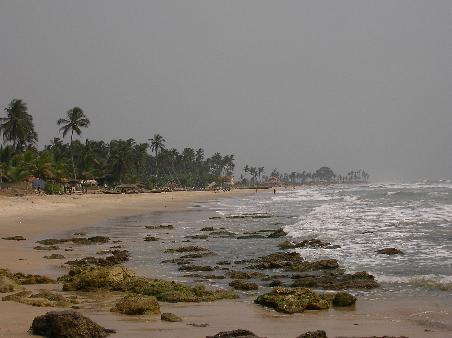 Strandblick nach Links: Palmengesäumte Strände, teilweise einsame Buchten,...