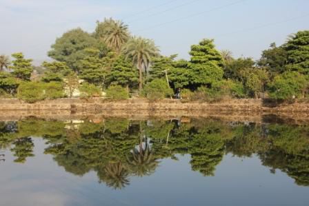 kleiner See in der Umgebung von Mount Abu